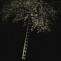 Leiter - Dxstin & Eliazz