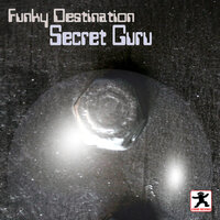 Hippies Groovy Sound - Funky Destination