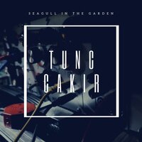 Seagull In The Garden - Tunc Cakir