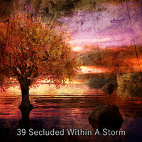 Natures Thirst - Meditation Rain Sounds