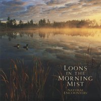 Lonesome Lover's Bridge - WordHarmonic