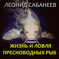 Леонид Сабанеев. «Жизнь и ловля пресноводных рыб». Часть 3 - Илья Волков