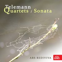 Trio Sonata for Flute, Oboe and Continuo in C-Sharp Minor, .: I. Largo - Ars Rediviva & Георг Филипп Телеман