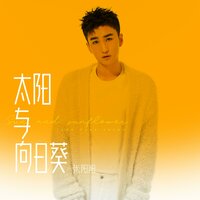 太阳与向日葵 - 张阳阳