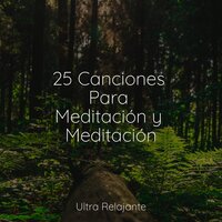 Destino - Dormir & Yoga Para Ninos & Sonidos de la Naturaleza para Dormir