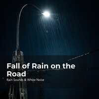 Rain in the Pavement - Rain Sounds & White Noise & Raindrops Sleep & Sleep Rain