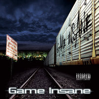 Try 2 Catch Us - Game Insane