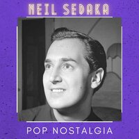 Fly, Don't Fly on Me - Neil Sedaka