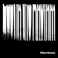 Lost In The Rhythm - Jamie Berry & Octavia Rose & Catjam