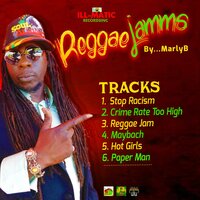 Reggae Jam - Marly b