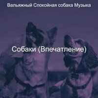 Видения (Спокойные собаки) - Вальяжный Спокойная собака Музыка