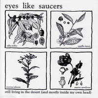 Desert Song (Where Land and Water Meet) - Eyes Like Saucers