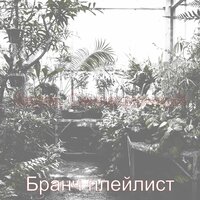 Мечты - Игривый - Бранч плейлист
