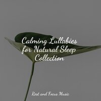 Frozen in Time - Spa Music Collective & Relaxed Minds & ZEN