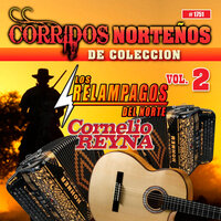 La Criminal - Los Relampagos del Norte & Cornelio Reyna