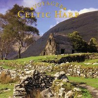 Ieuam's The Blind Harpist's Delight - Voyager Series