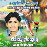 Mere Bailiya Tun Kyoun - Wajid Ali Baghdadi