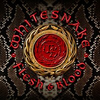 If I Can't Have You - Whitesnake
