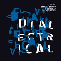 Bbb - Barry Altschul & Elliott Sharp Aggregat