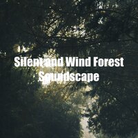 Relaxing Forest Footsteps Noise - Forest Sounds For Relaxation