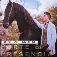 Perfecta - José Villarreal