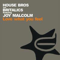 Love What You Feel - House Bros & Britalics & Joy Malcolm