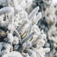 Christmas Eve - O Little Town of Bethlehem - Christmas Music