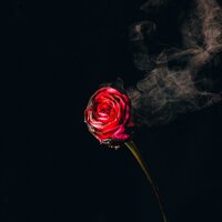 Falling For Potential - Sy Ari Da Kid