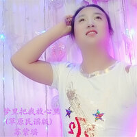 梦里把我放心里 - 苏紫瑶