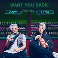 Want You Back - Grey & LÉON & Dwilly