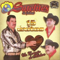 Ando Que Me Lleva - Satelites de Jalisco