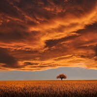Winding Down - Study Concentration & Musique Zen Garden & Meditation Music Experience