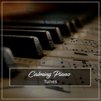 Bach's Variatio 12 Canone alla Quarta - Calming Piano, Piano Music for Work, Gym Piano & Piano Music for Work & Calming Piano & Gym Piano
