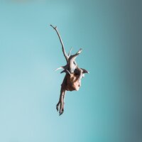 Everything 100 - Jaime & Bdotissa
