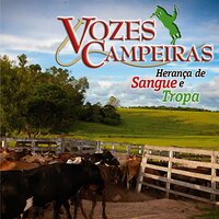 Terreno Invadido - Vozes Campeiras