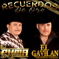 Recuerdame y Ven a Mi - Ricardo Cerda El Gavilan & El Puma De Sinalóa
