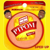 PTPOM (No bologna) - Mohead Mike & Big Boogie
