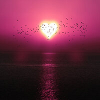 Little Light - LyLy