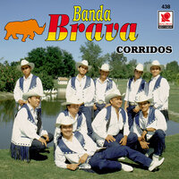 El Gallo Negro - Banda Brava