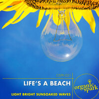 Beach Jerky - Organic Spark
