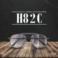 H8 2C - WDZ
