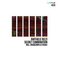Secret Combination - Raffaele Rizzi