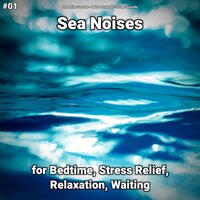 Sea Noises Part 80 - shoreline sounds & Nature Sounds & Ocean Sounds