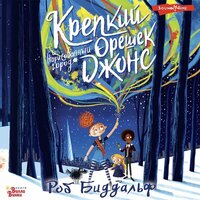 Роб Биддальф. «Крепкий орешек Джонс и нарисованный город». Часть 75 - Екатерина Бабкова