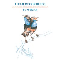 GONE TOMORROW - 40 Winks