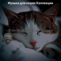Звуки (Котята) - Музыка для кошек Коллекции