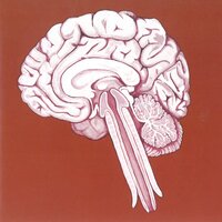Ajo Funk - Shing02