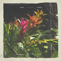 Florence - Marsh & Wassu