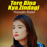 Tere Bina Kya Zindagi - Hussain Aseer
