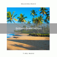 Brilliant Ocean Noises of Deep Sleep with Bird Calls pt. 2 - Baltic Nature Sounds